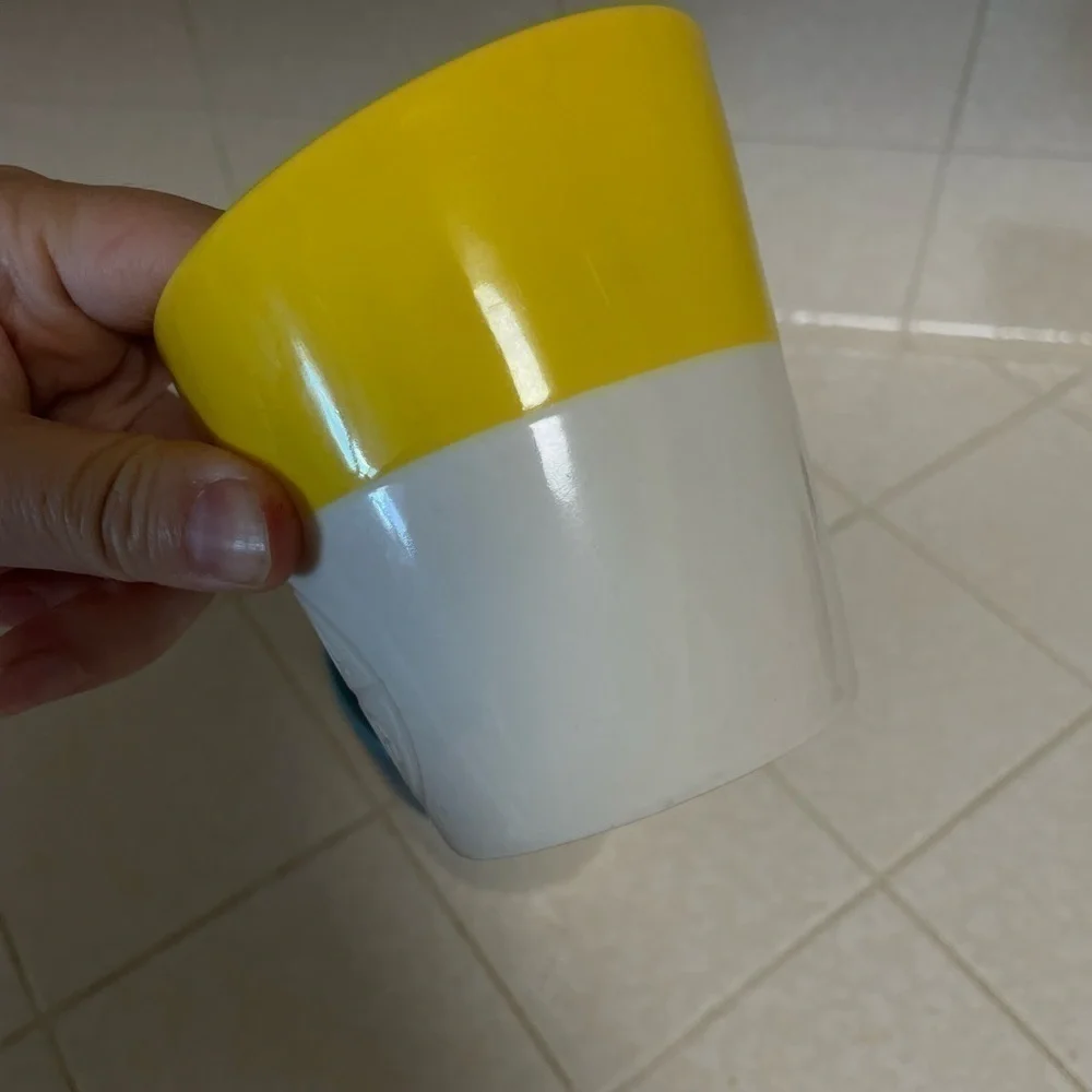 Starbucks Tazo Tea Logo Asymmetrical Cups